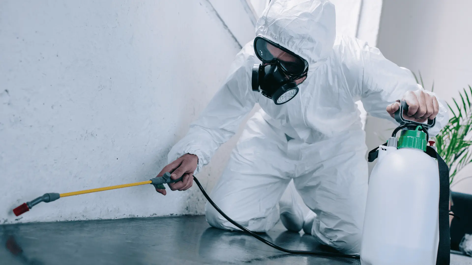 Profissional Construtech em ação